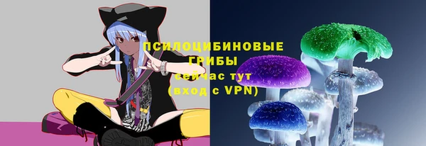 соль ск Абаза