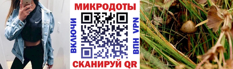 Галлюциногенные грибы ЛСД  купить наркотики сайты  Протвино 