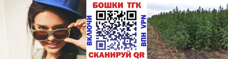 Конопля ГИДРОПОН что такое Протвино
